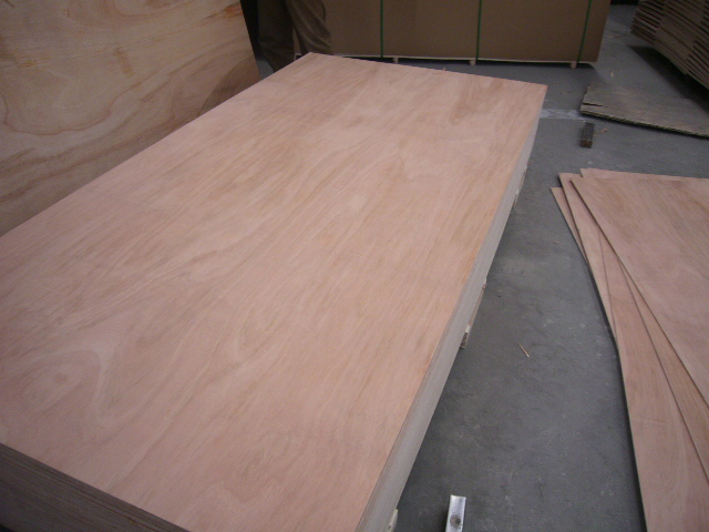 ��ľ����z�ϰ��Ԕ����B