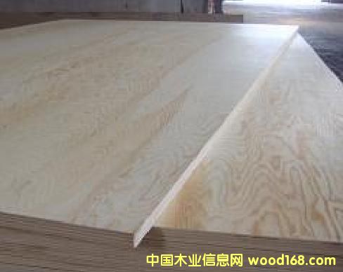 ȫ��ľ�z�ϰ�--�ذ��r��