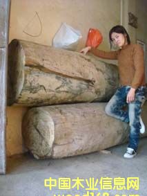 ꎳ���z�ľ��Ԕ����B