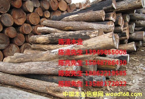 �t̴��Ԕ��(x��)��B