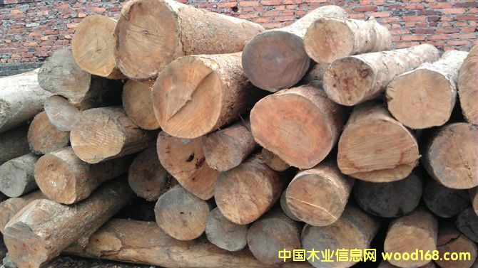 ��z�ľ��Ԕ����B