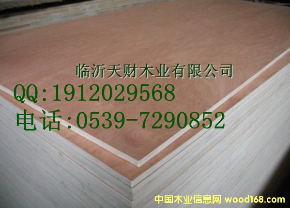 �t�������z�ϰ��Ԕ��(x��)��B