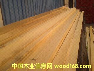 ���������~�ɵ�Ԕ����B