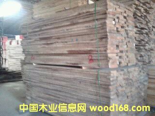 ���_˹�M�ں��������ľ���ľ��