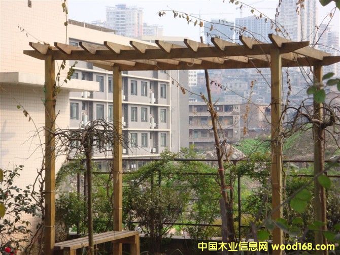 ����ľ���ܵ�Ԕ��(x��)��B