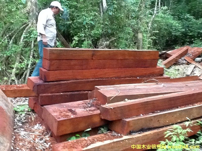 ��Ƥ���� �ذ��ütľ