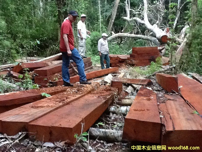 ��Ƥ���� �ذ��ütľ