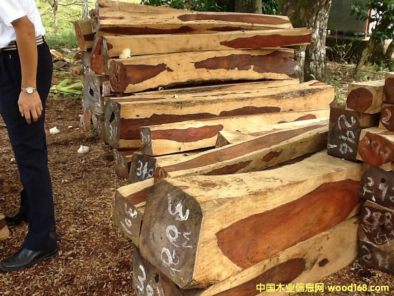 ΢���S̴��Ԕ����B