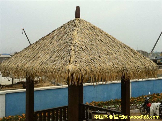 é���ߵ�Ԕ����B