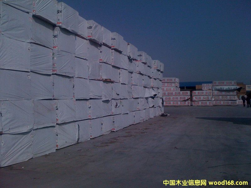 ����SPF��Ԕ��(x��)��B