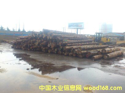 ԭľ��Ԕ��(x��)��B