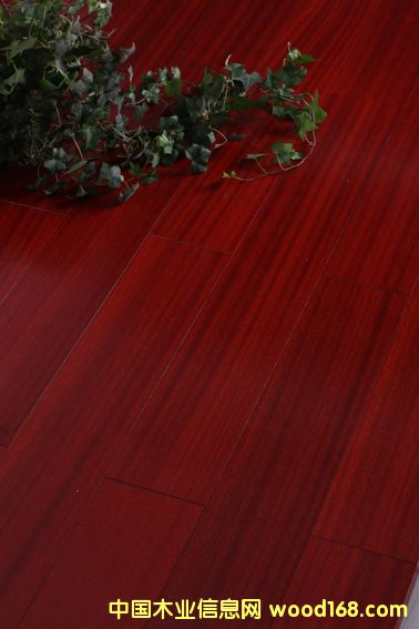 �·ƹ�����(y��u)�|ɳ������ľ�ͺϵذ��Ԕ����B