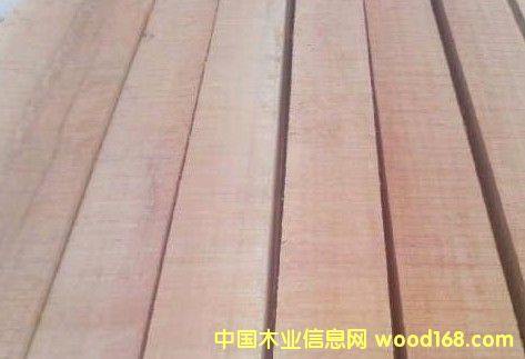 �ڂ��Ҽӹ��ĵ�Ԕ����B