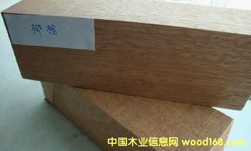 [��] ��ľ�m��ľƽ�_�ذ�|��ľ|����ľ|�ڂ���|����ľ