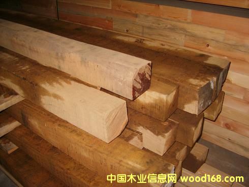 ������ľ