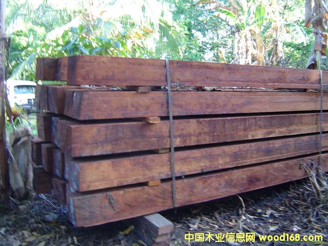 쳝�(j��)�һ�о��ĵ�Ԕ��(x��)��B