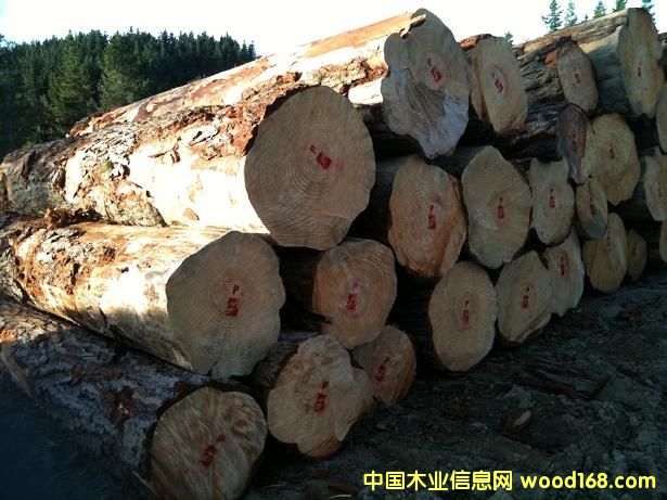 �����mݗ����ԭľ��Ԕ��(x��)��B