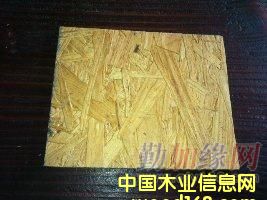 �M��osb�ٻ����Ԕ����B