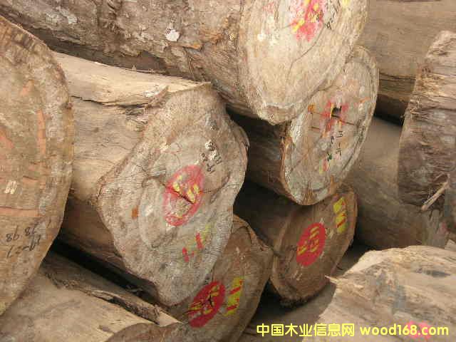 �M��Խ�Ͼ����z�ľ/��z��/�Sо�ľ���M�ڈ��P