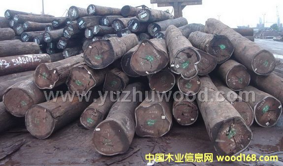 ����������ľ/����ԭľ��Ԕ����B