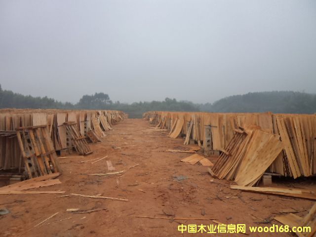 ���ΰ��Ԕ����B