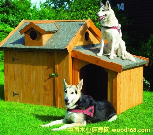 ����\��Ԕ����B