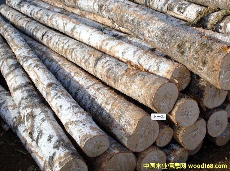 鐵杉原木的詳細介紹