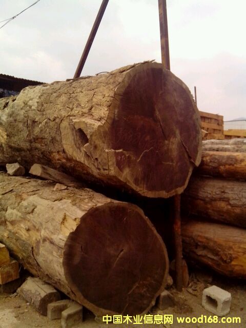 ��z�ľ���ϣ��E骣�