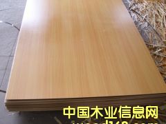 ������Ԕ����B