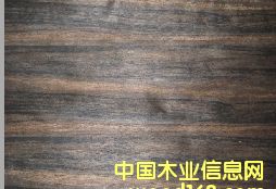 ����ӡȾ����