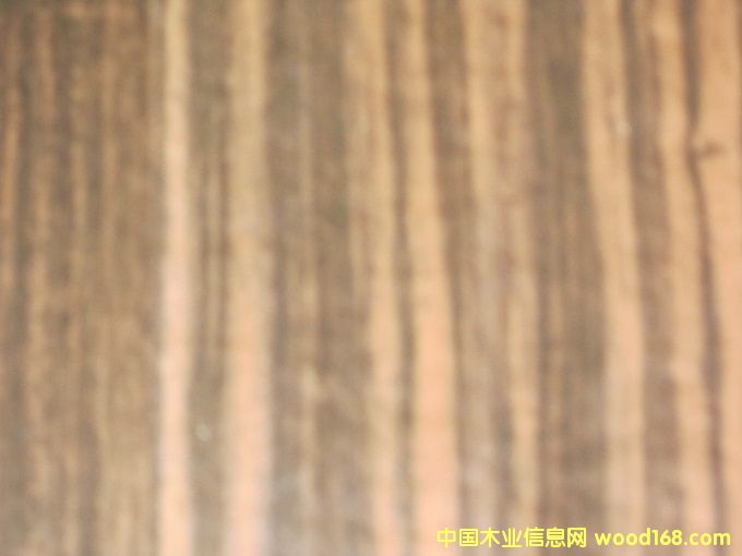 ����ӡȾ����