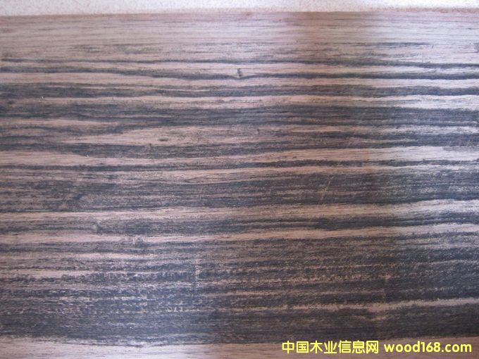 ����ӡȾ����