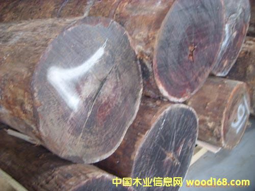 ���黨���Ԕ��(x��)��B