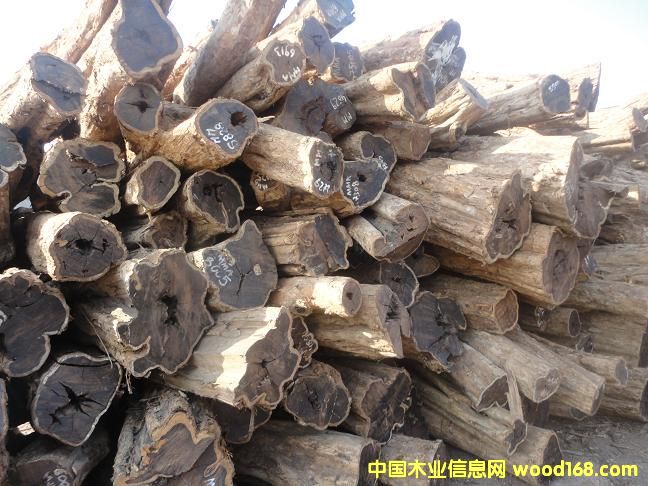 ��ľ��Ԕ����B