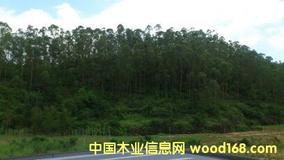 ���ԭľ��Ԕ����B