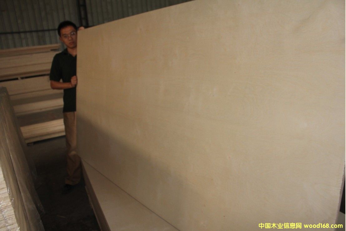 ��ľC+����Ԕ����B