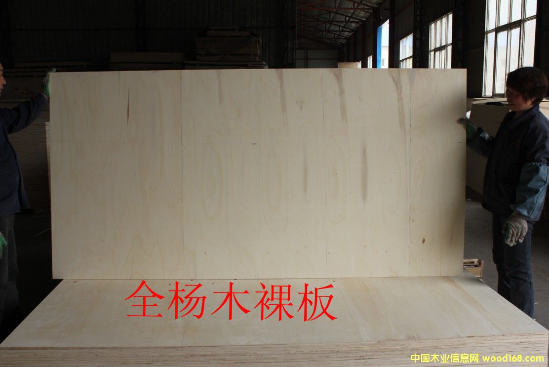 ��ľ����Ԕ����B