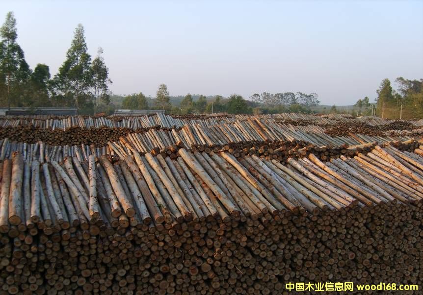 ���ԭľ��Ԕ����B