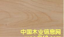 ̫ƽ�����Ԕ����B