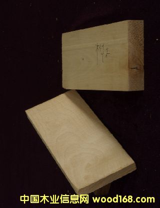 樺木原木的詳細(xì)介紹