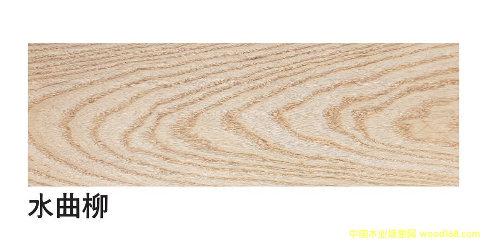 �����M��ˮ�������