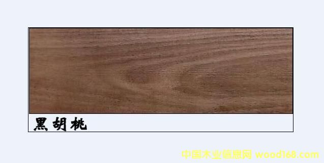 �����M�ںں��Ұ��