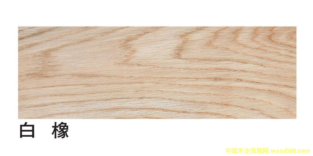 �����M�ڰ�����