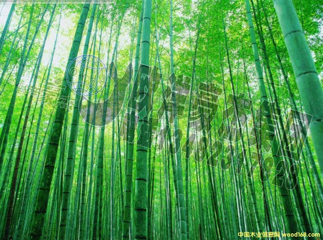 [��] ë�� ��� ���˹��� �����ֈ�