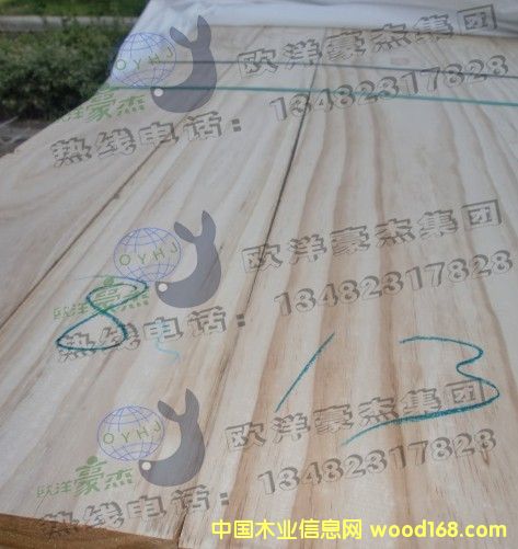 [��] �̓rARAUCO����ݗ����24�Ҿ߼����