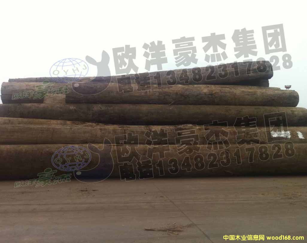 [��] ���~��ԭľ �ڏ�10-50���� �����F؛ ����ݗ���ɰ���