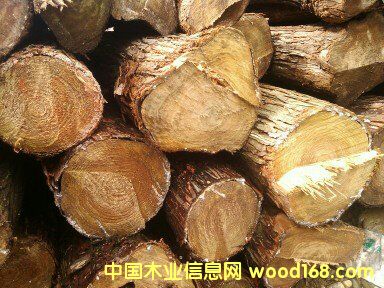 ɼľԭľ��Ԕ��(x��)��B