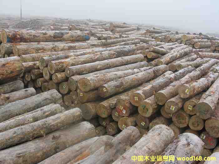 ݗ����ԭľ��Ԕ����B