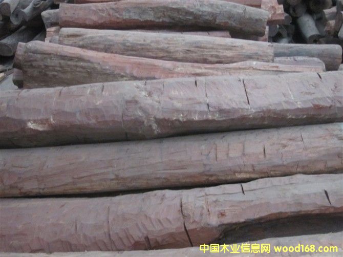 ��̴��Ԕ����B