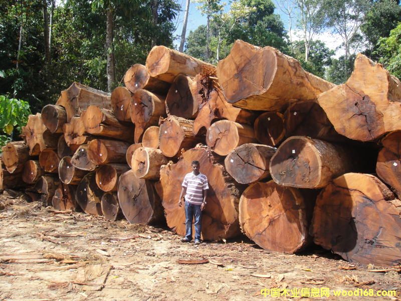 �R���͵���Ԕ����B